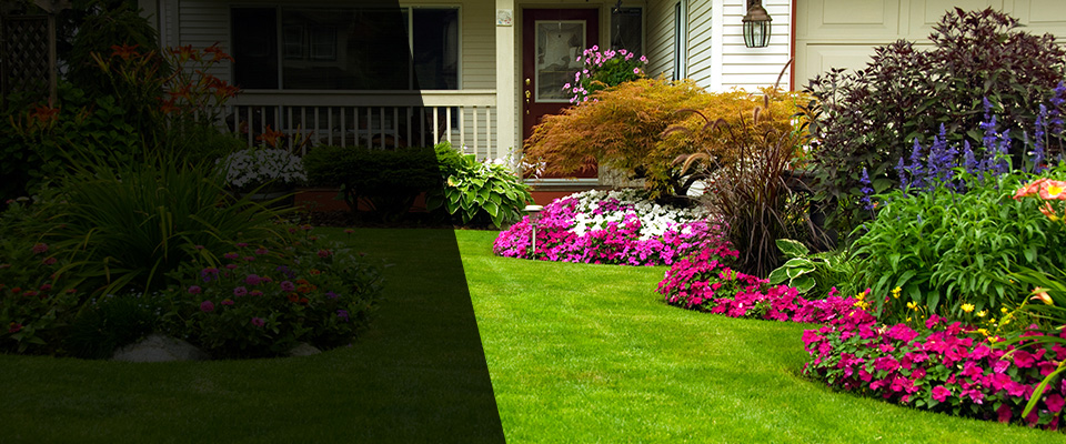 Bangor Landscapers